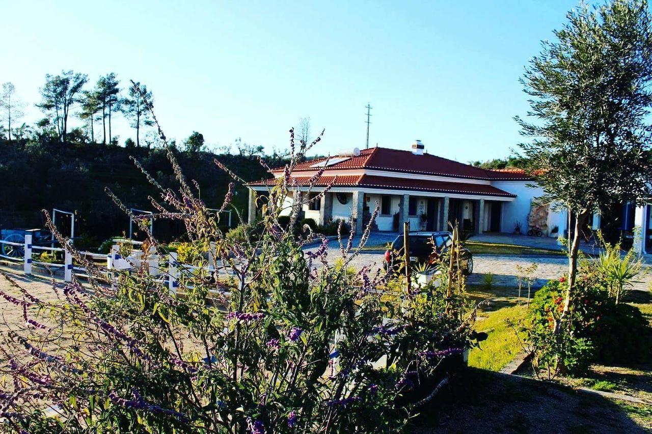 Quinta Ribeiro Tanquinhos Guest House Tancos Exterior photo